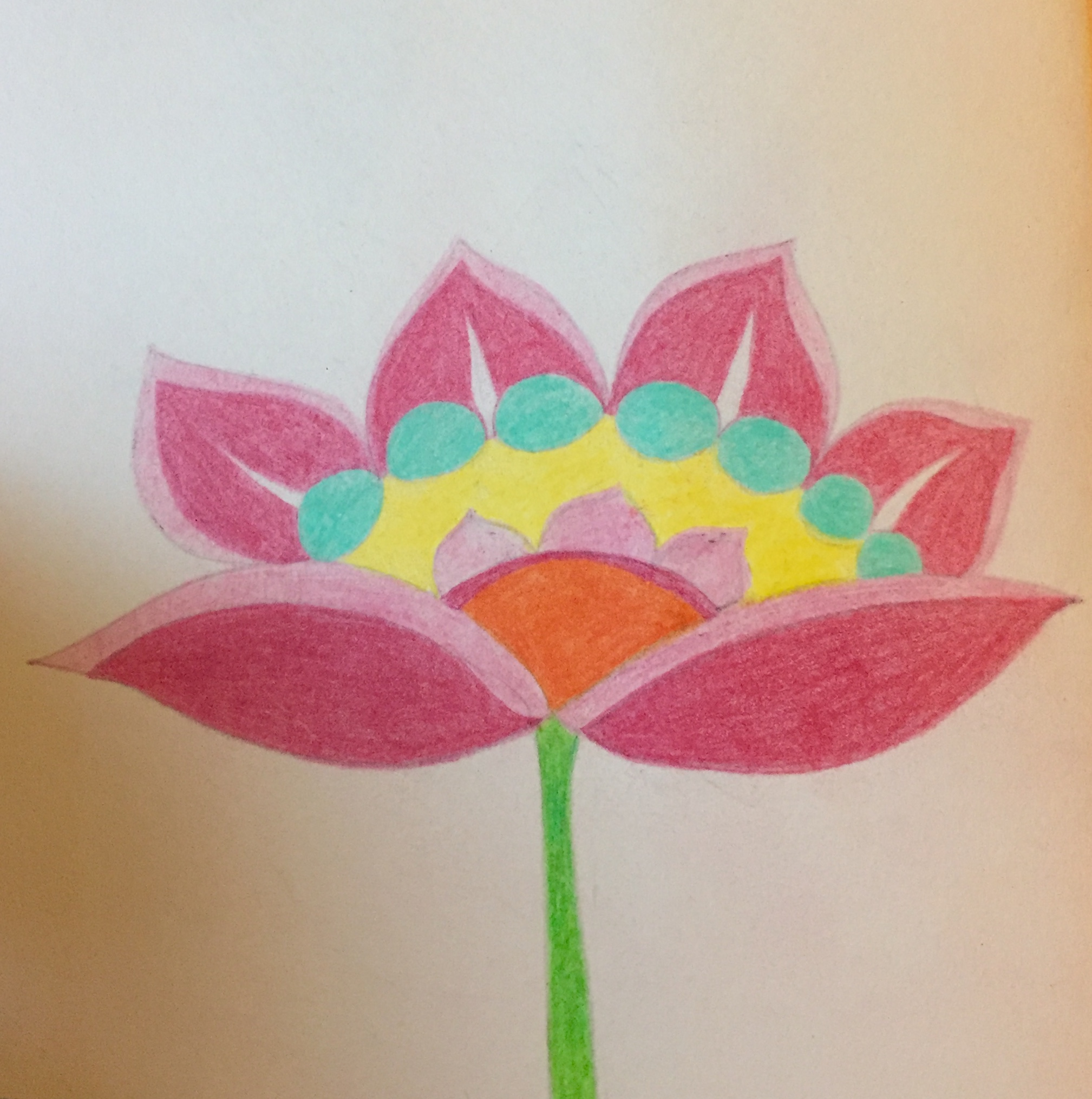 Lotus Pencil Drawing